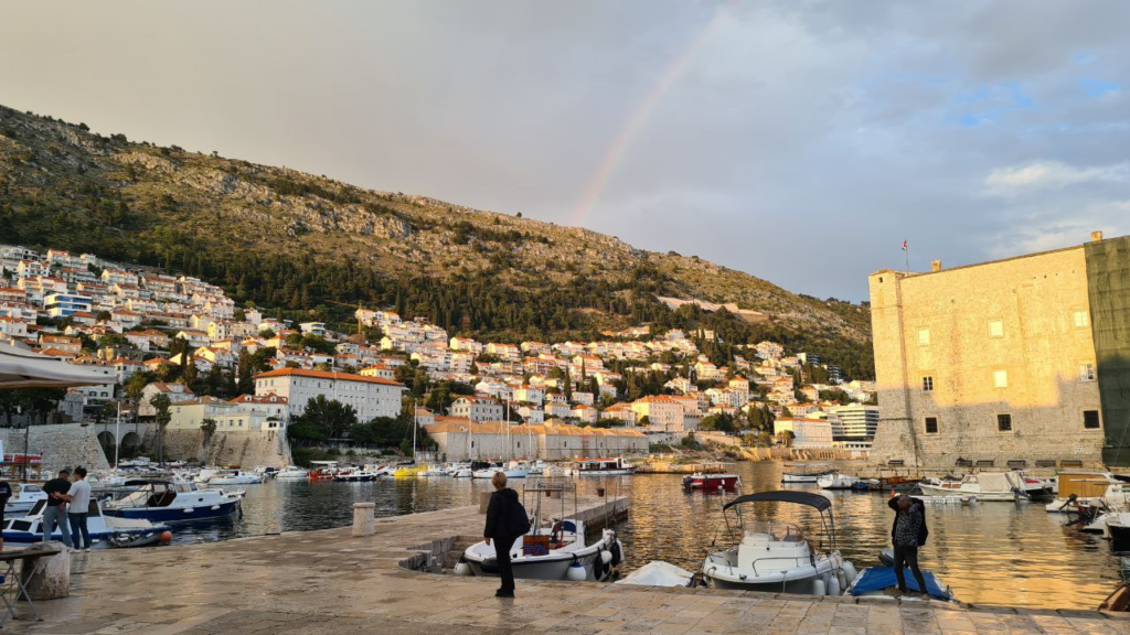 Image 8