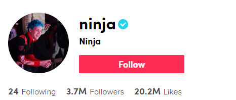 Ninja